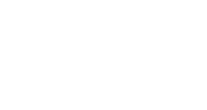 The Supersized Bug